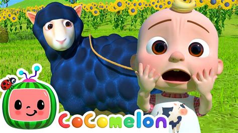 baa baa black sheep cocomelon|baa baa black sheep cocomelon youtube.